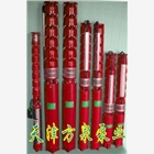 黑龍江高揚(yáng)程熱水潛水電泵/潛水電泵廠家